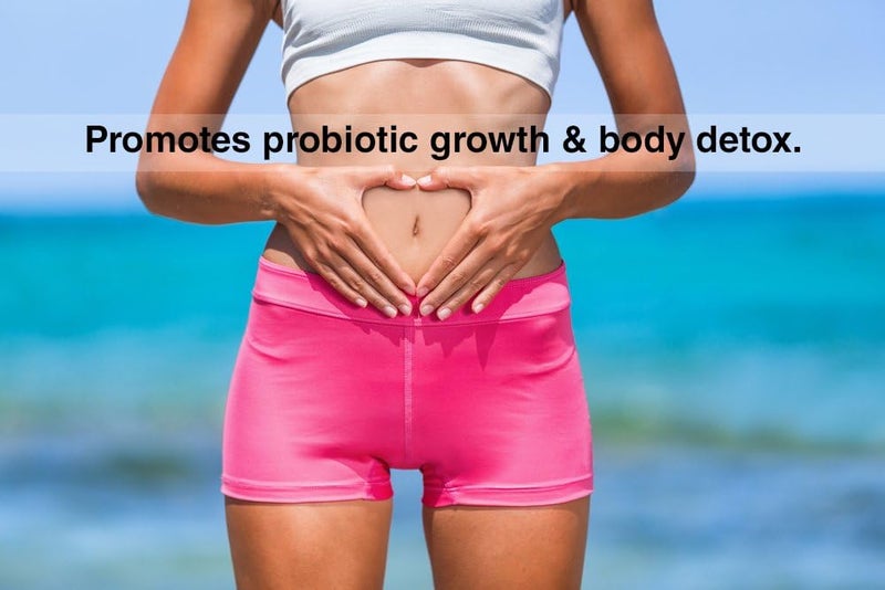 DrFormulas Nexabiotic Advanced Multi-Probiotic with 23 Probiotic Strains for Gastrointestinal Support - 60 Delayed Release Veggie Capsules - Image 5